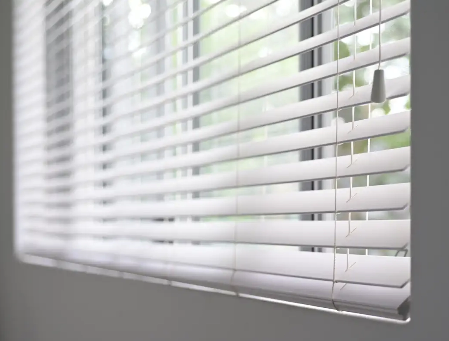 Venetian Blinds