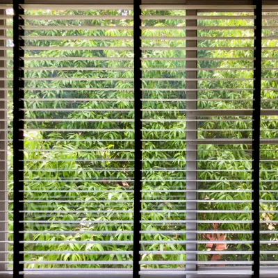 window blinds airdrie